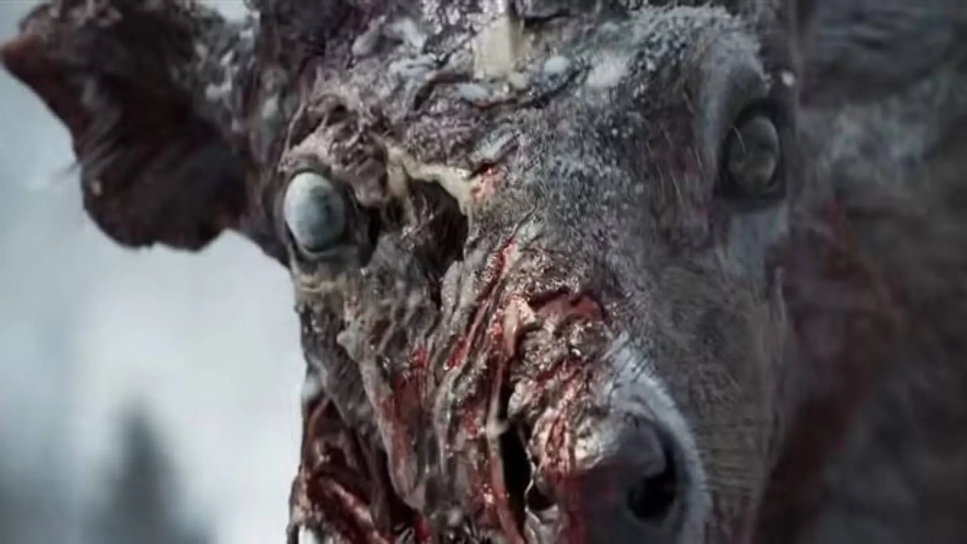 要想战胜奥,沙利文,必须持续保,世界杯赛事,2026世界杯,赛程安排,最新动态,球队信息