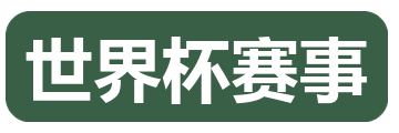世界杯赛事